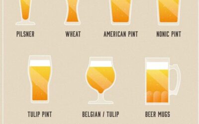 Beer Glass Shapes Explained: Why the Glass Matters