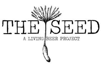 The Seed Brewing Review: Atlantic City’s Quiet Standout