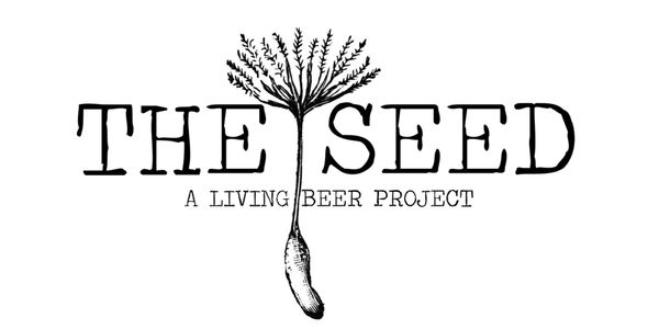 The Seed Brewing Review: Atlantic City’s Quiet Standout