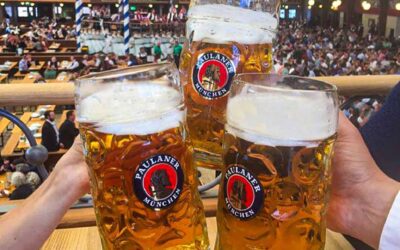 2026 Oktoberfest & Pumpkin Beer Variety Packs